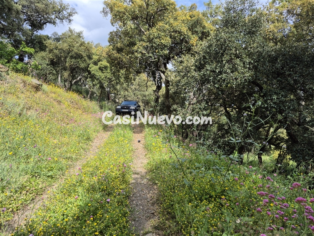 Casa de campo-Masía en Venta en Genalguacil Málaga