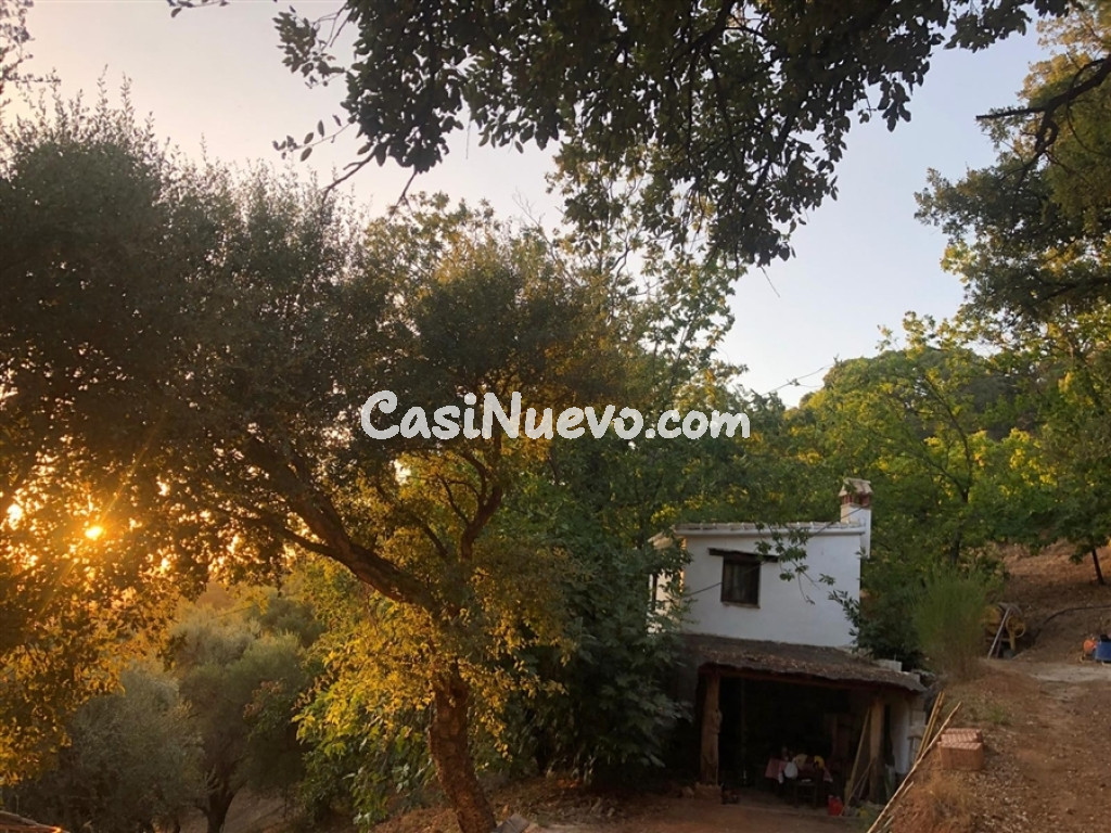 Casa de campo-Masía en Venta en Genalguacil Málaga