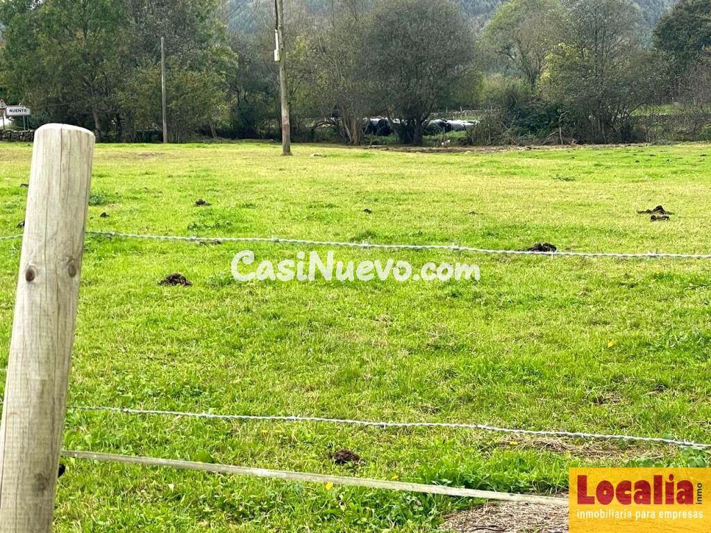 Interesante suelo urbano de 8 mil m² en Ruente