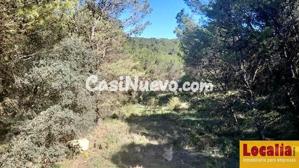 Gran suelo rústico en Antequera, Málaga