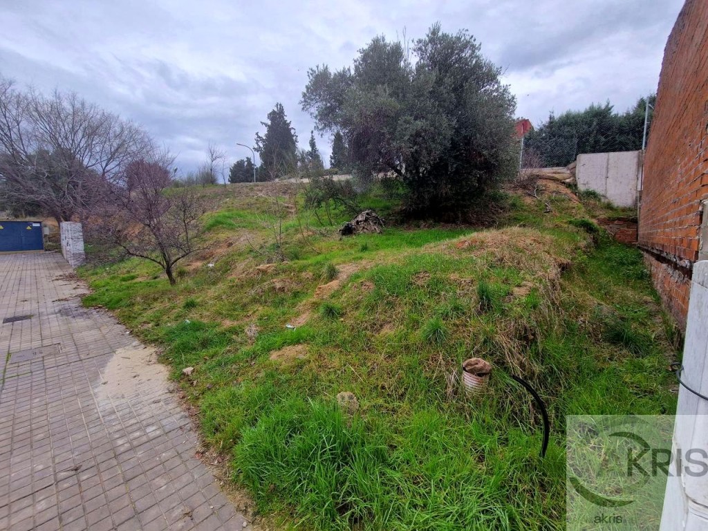 ?️ Solar urbano en Olías del Rey – Sector El Beato - foto 11