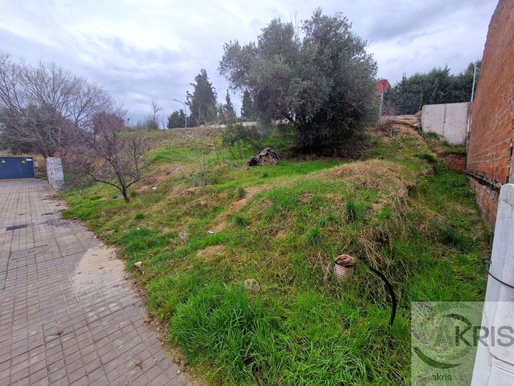 ?️ Solar urbano en Olías del Rey – Sector El Beato - foto 18