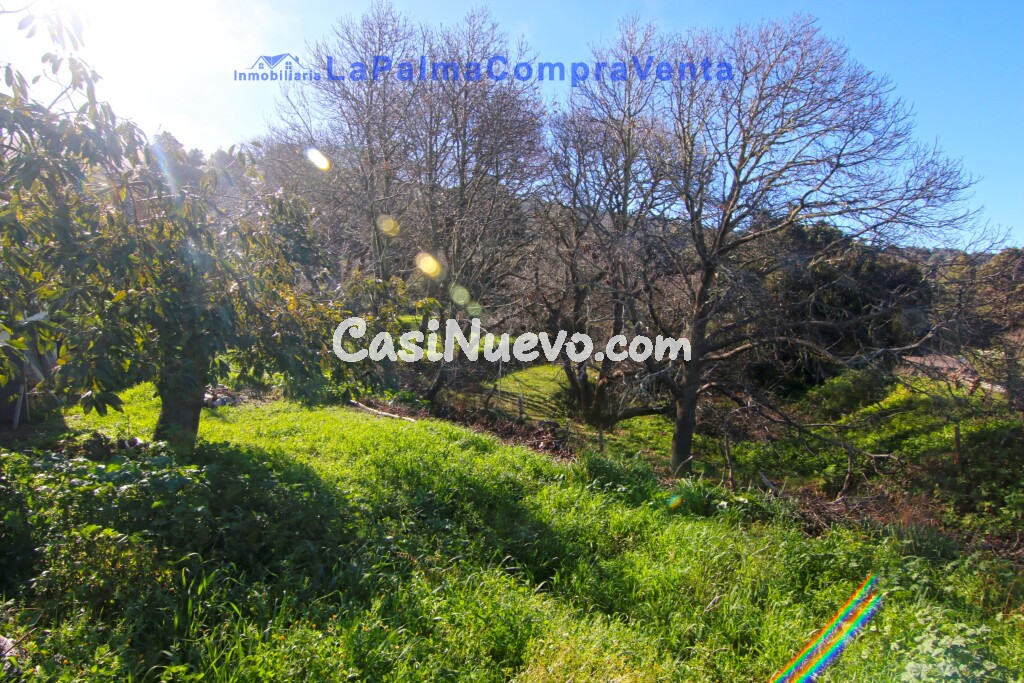 Casa de pueblo en Venta en Llano Negro Santa Cruz de Tenerife