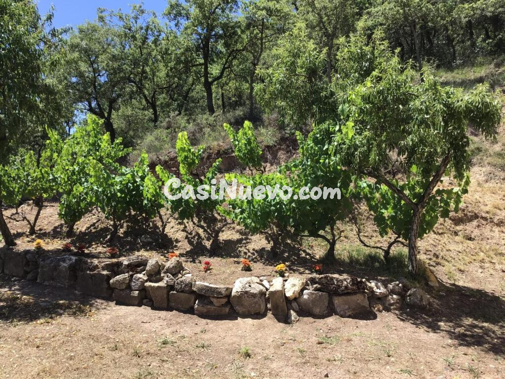 CASA CON TERRENO EN LA NOGUERA