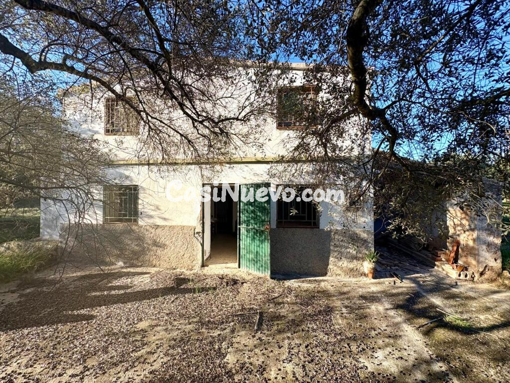 Casa de campo en heredad de olivos