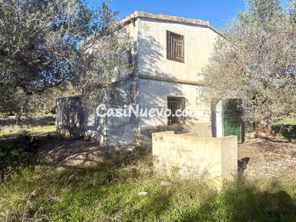 Casa de campo en heredad de olivos