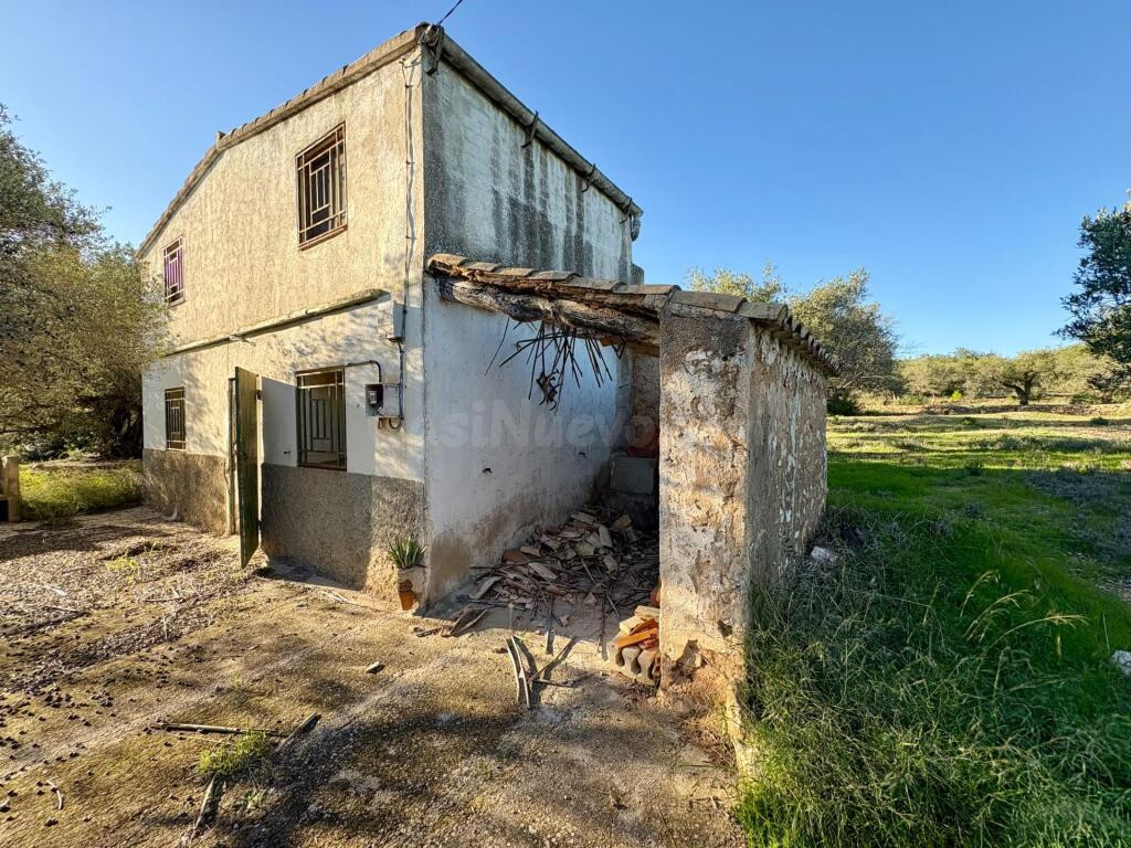 Casa de campo en heredad de olivos - foto 3