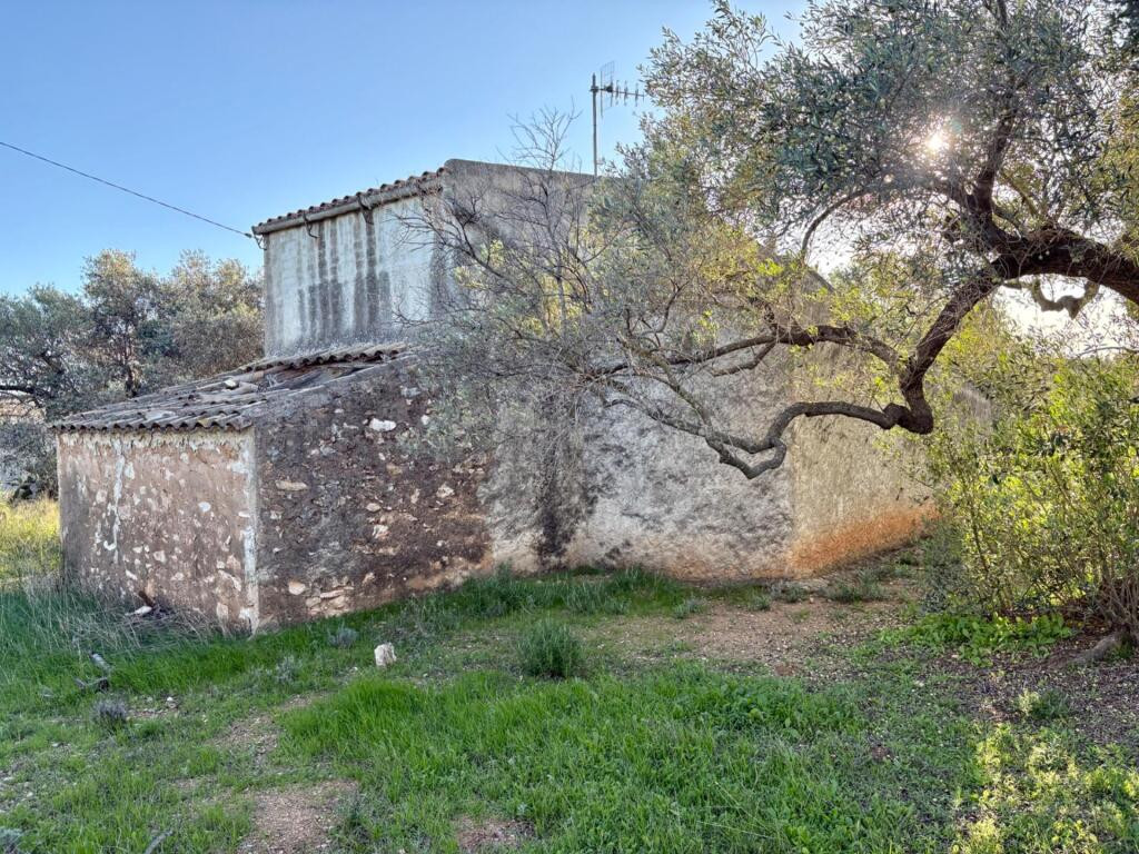 Casa de campo en heredad de olivos - foto 4