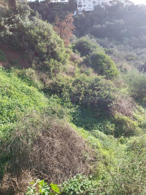SE VENDEN VARIAS PARCELAS EN LA ZONA DE FOREST HILL - foto 2