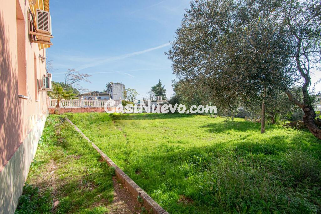 Parcela a la venta en Carmona - foto 14