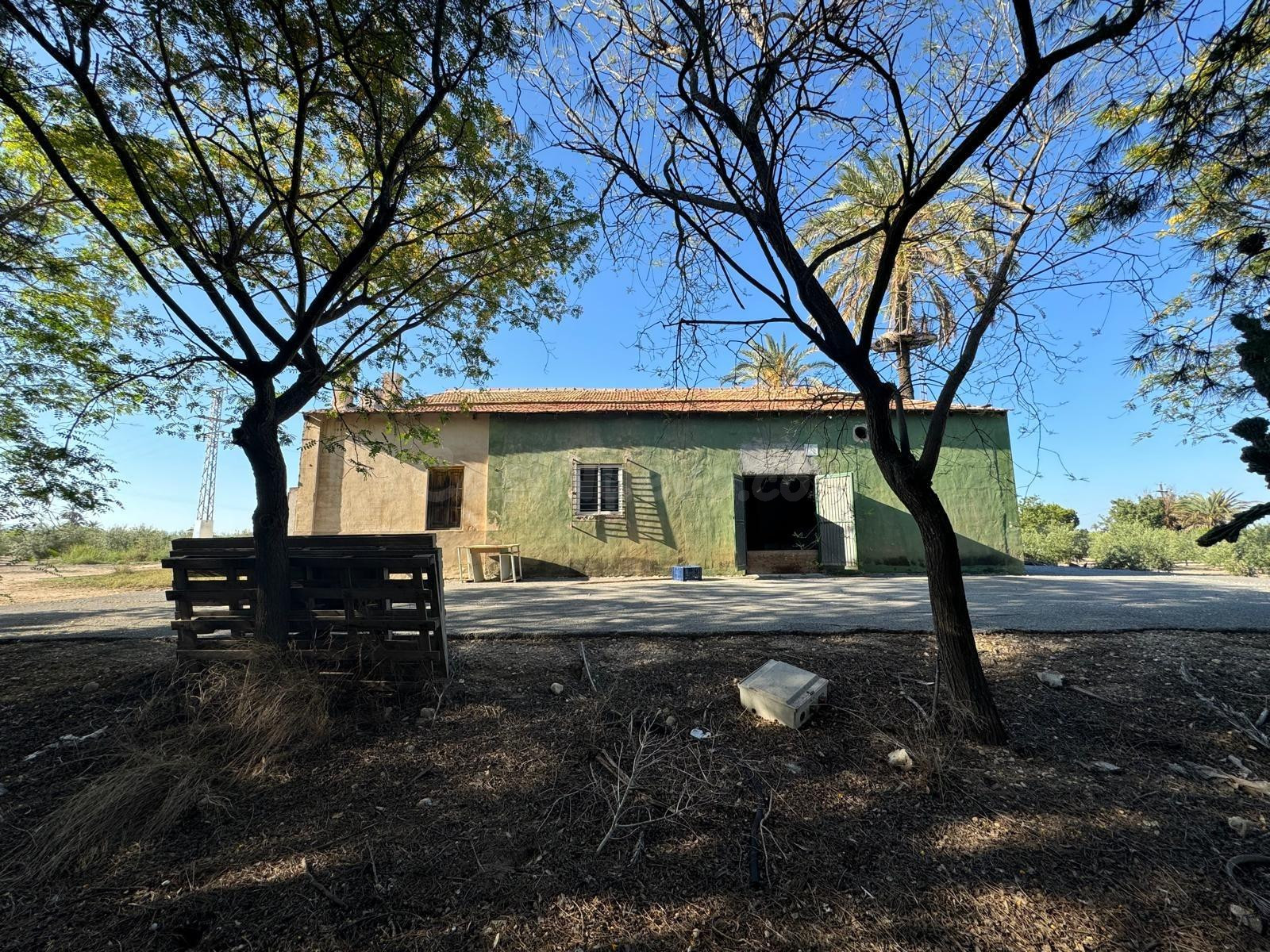 *"Finca de 28.800 m2 en Carretera de Dolores con 600 olivos, 700 pinos y riego por goteo - Ideal par