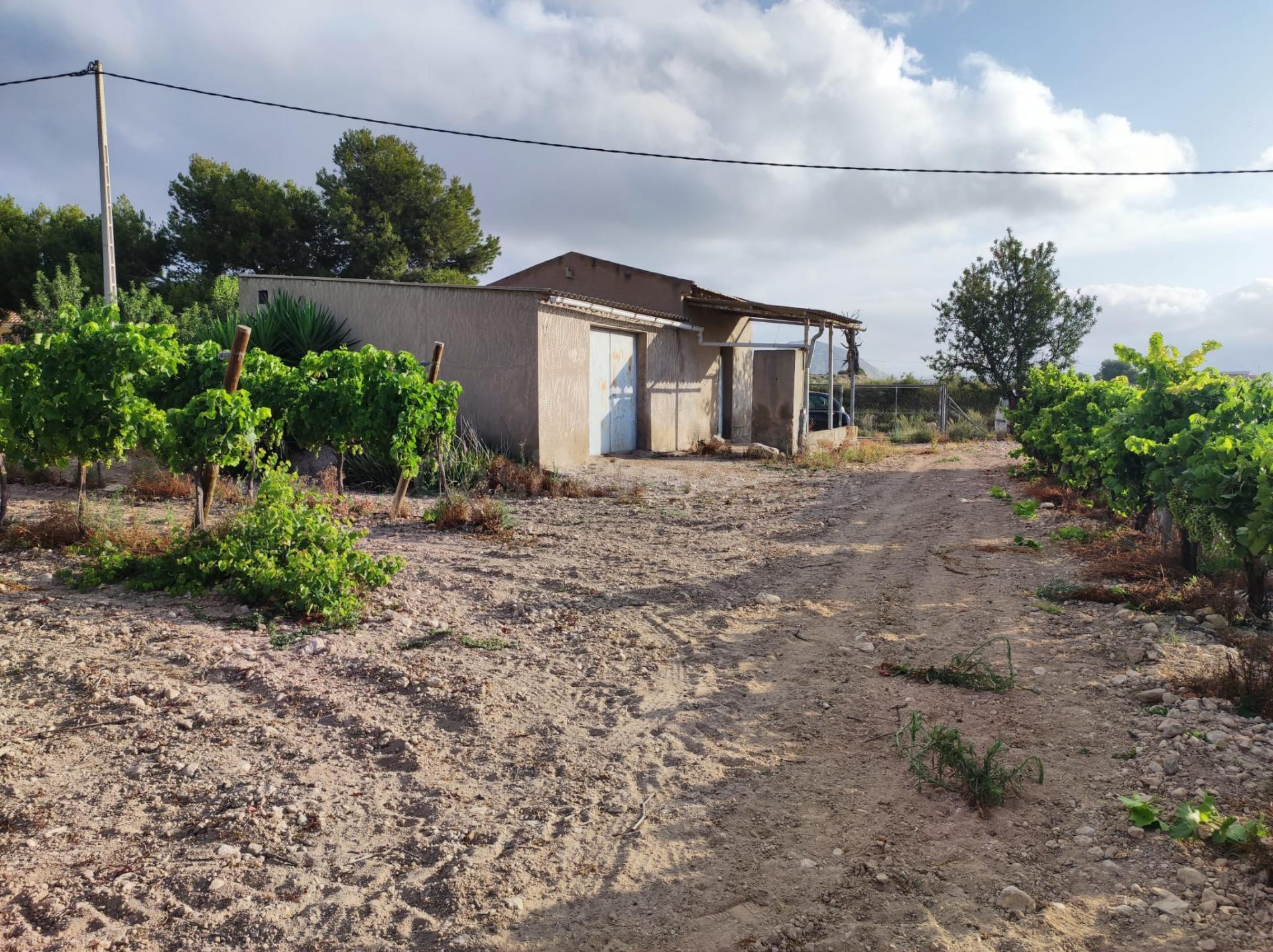 Casa de Aperos en Novelda