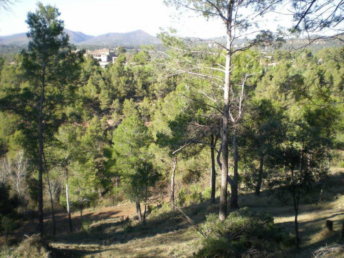 Solar en venta - foto 4