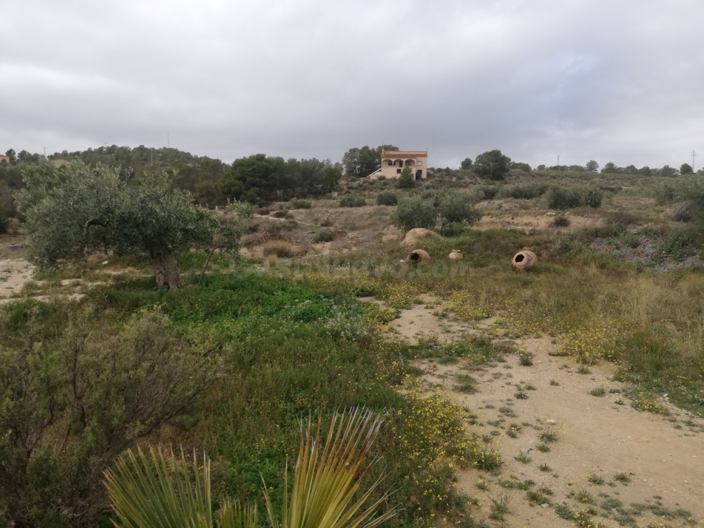 Casa de Campo con terreno en La Tova