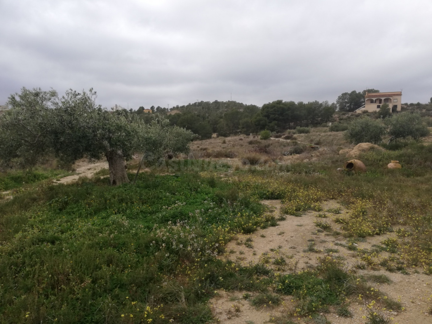 Casa de Campo con terreno en La Tova - foto 2