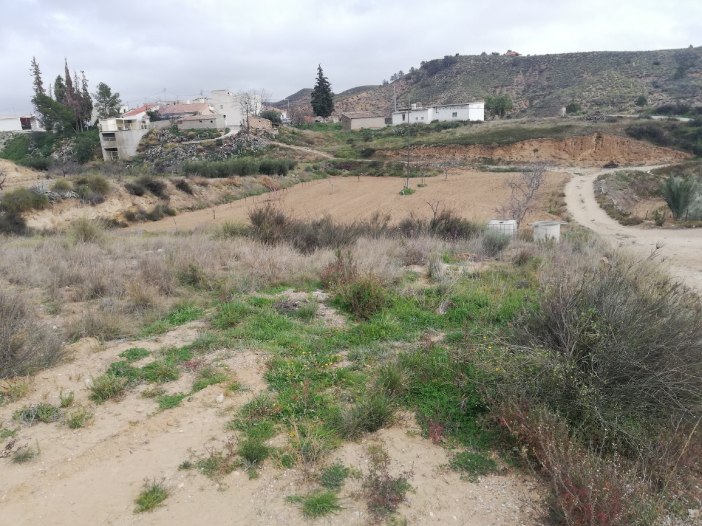 Casa de Campo con terreno en La Tova - foto 3
