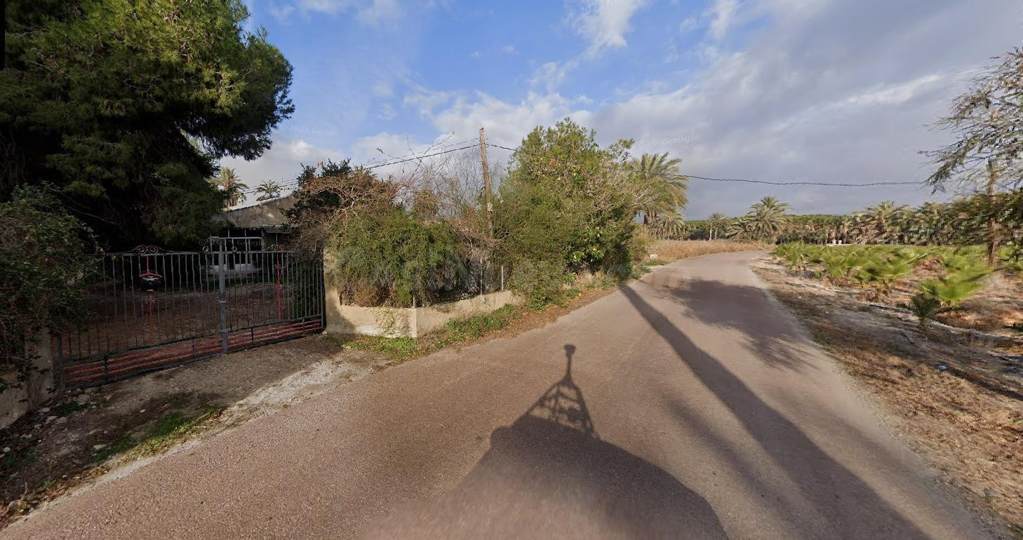 Oportunidad única: Finca agrícola en Elche – Palmeral ilicitano (Partida de Daimes)