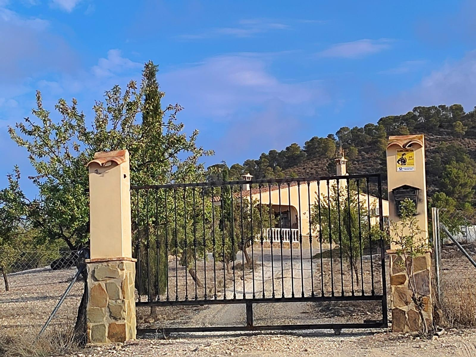 SE VENDE CHALET /MONOVAR / LISTO PARA VIVIR / ARBOLES FRUTAL - foto 5