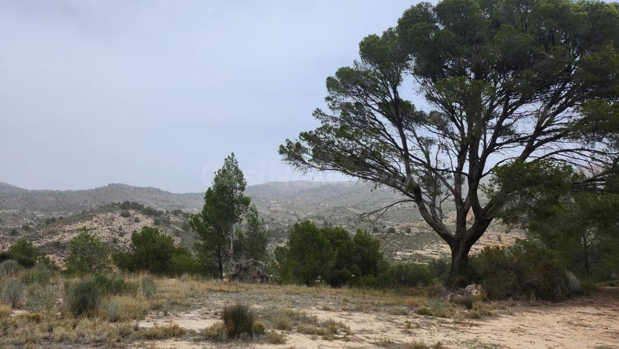 SE VENDE PARCELA / 27.000 MTS / FACIL ACCESO / TIBI - foto 2