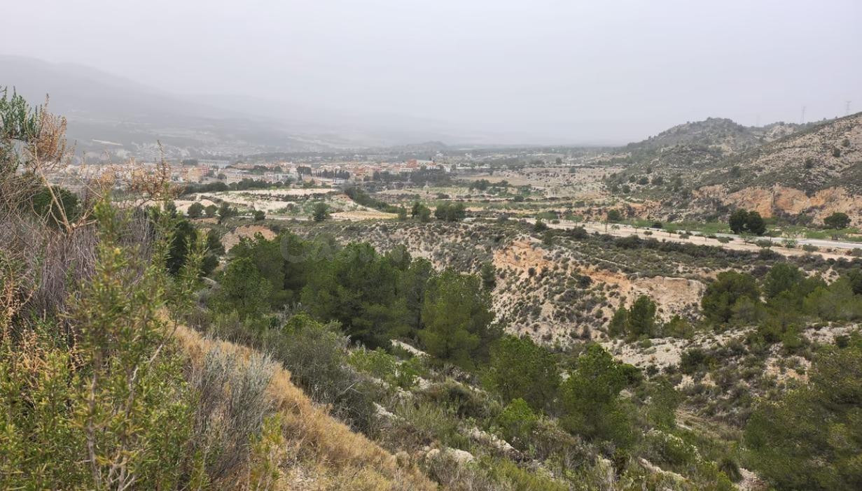 SE VENDE PARCELA / 27.000 MTS / FACIL ACCESO / TIBI - foto 3