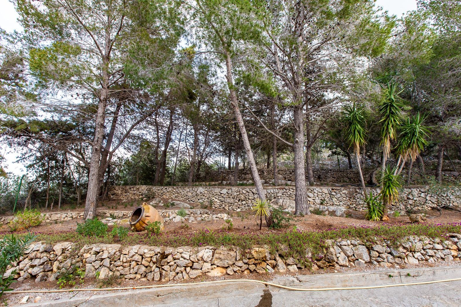 Inmueble irrepetible - foto 5