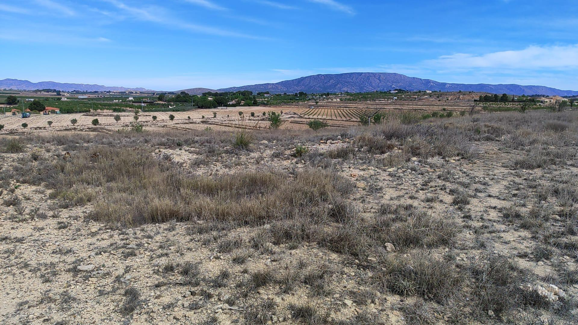 TERRENO RURAL