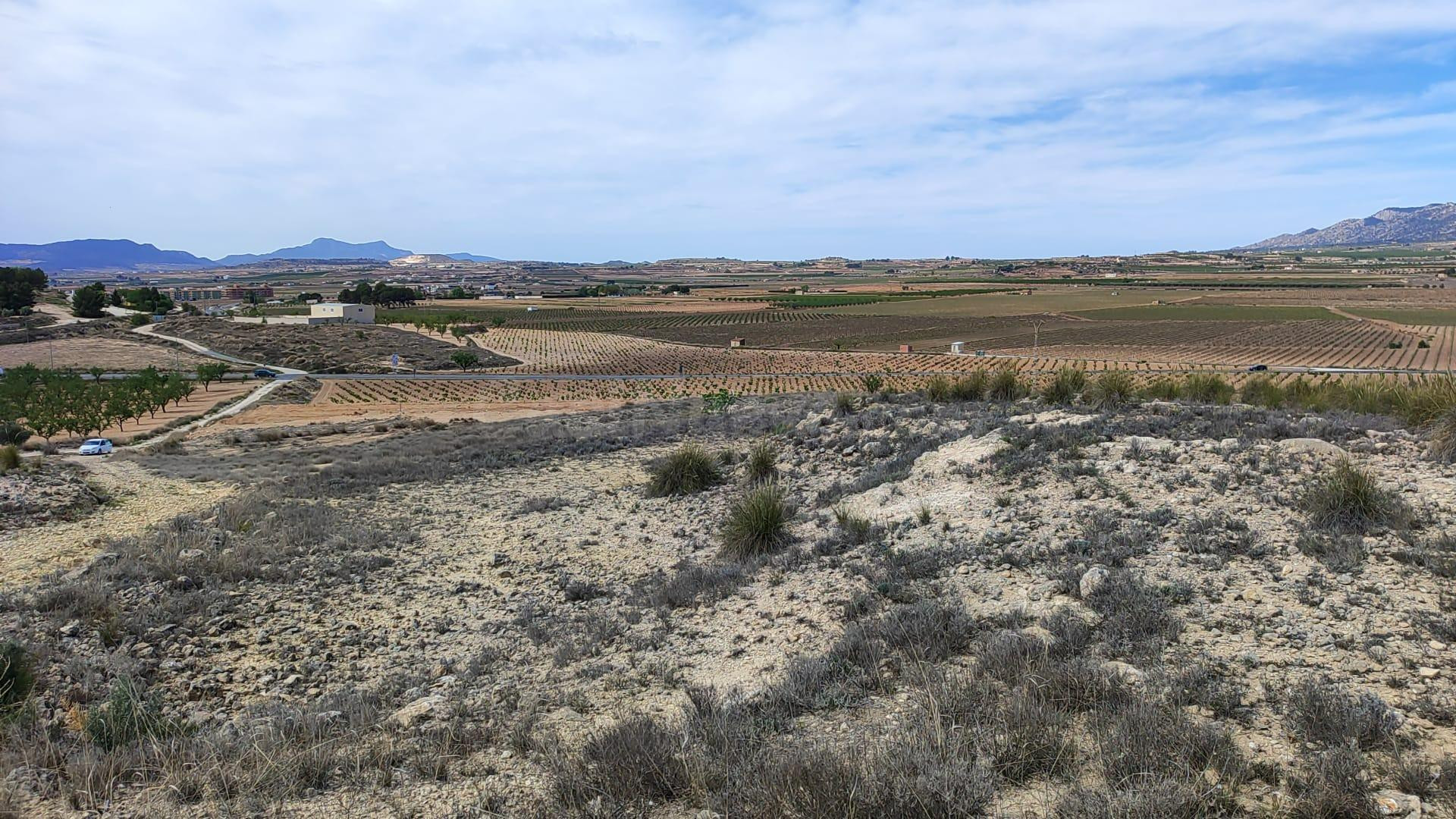 TERRENO RURAL - foto 2