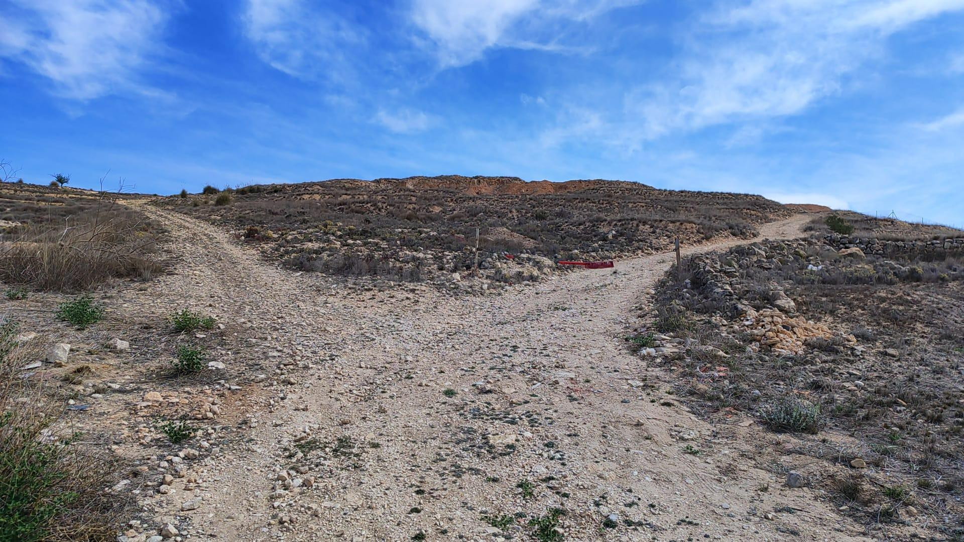 TERRENO RURAL - foto 4