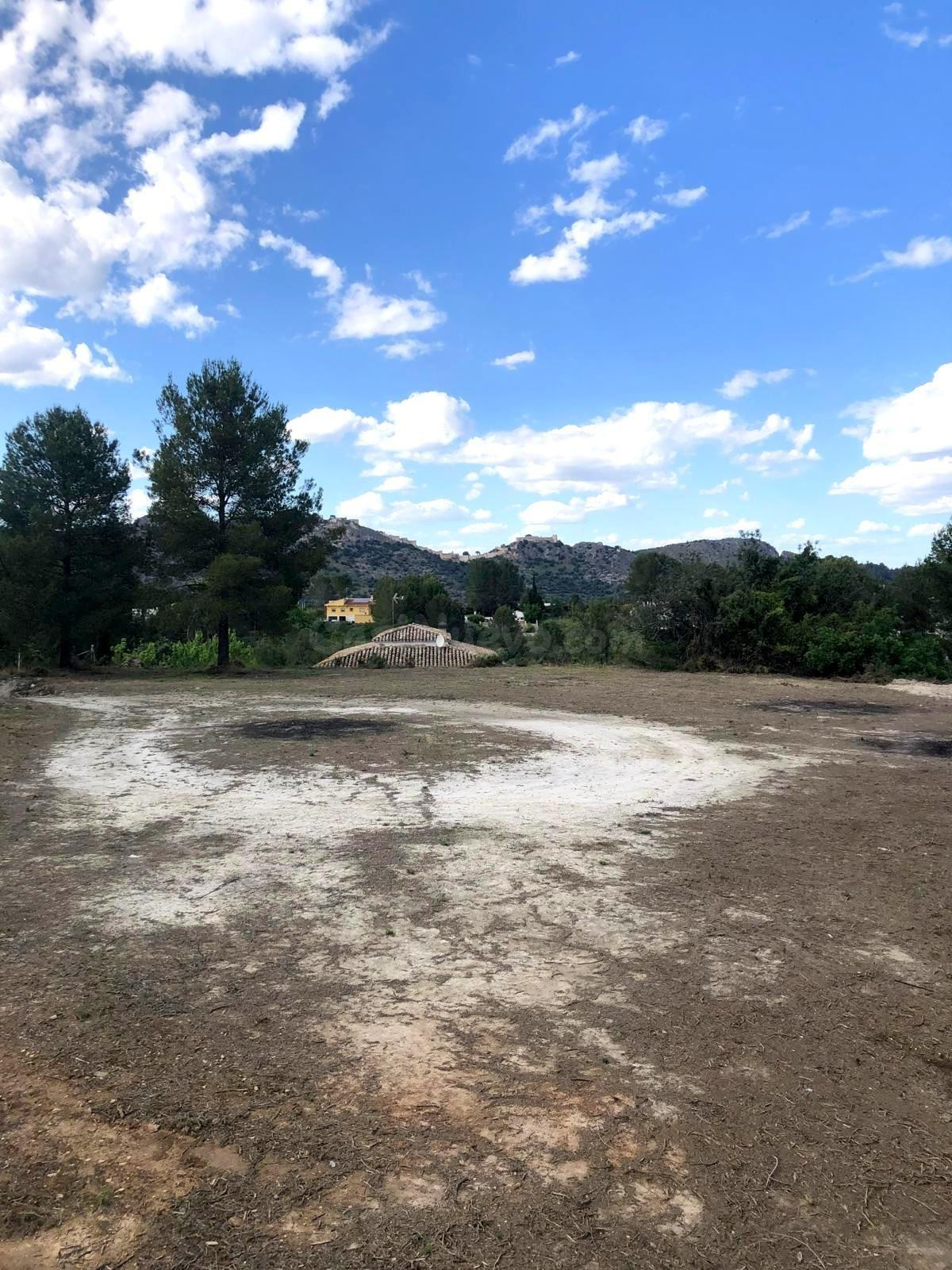 TERRENO RÚSTICO A LA VENTA EN XATIVA