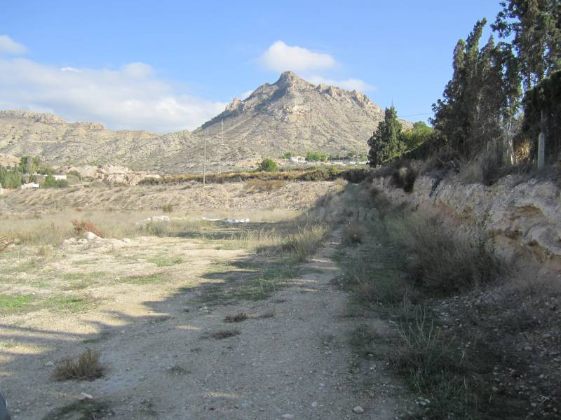 PARCELA - foto 2