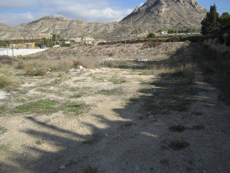 PARCELA - foto 3