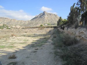 PARCELA - foto 5