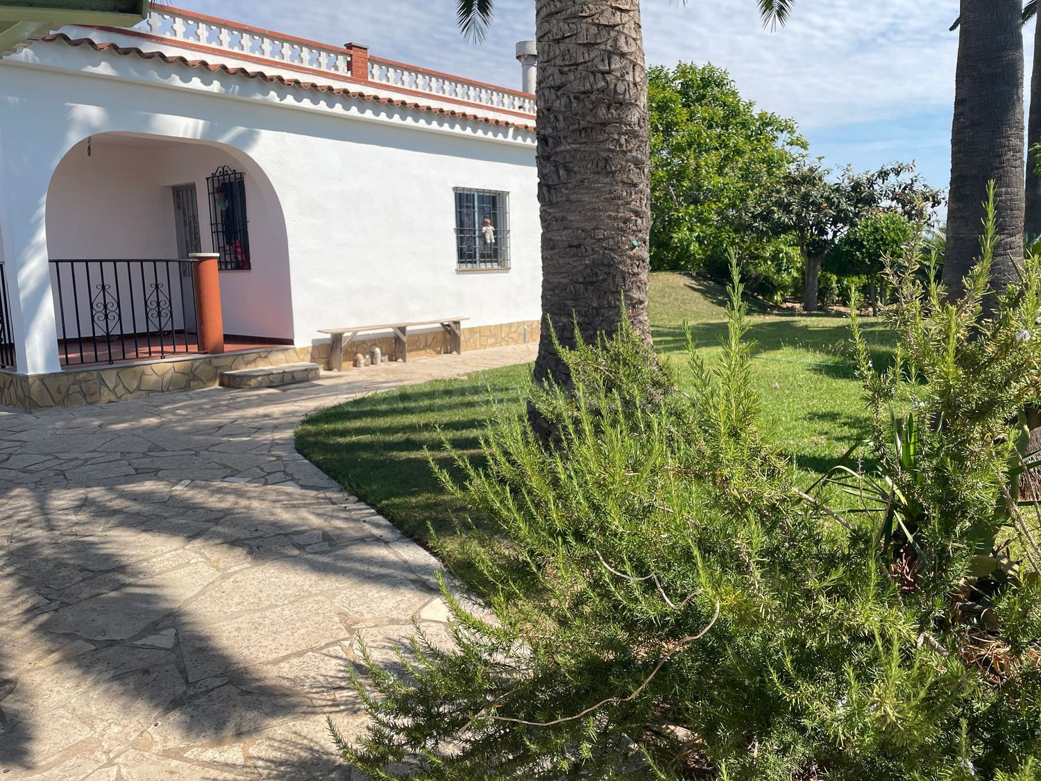 Terreno de 16.000 m2 con casa y cultivo de naranjos y olivos