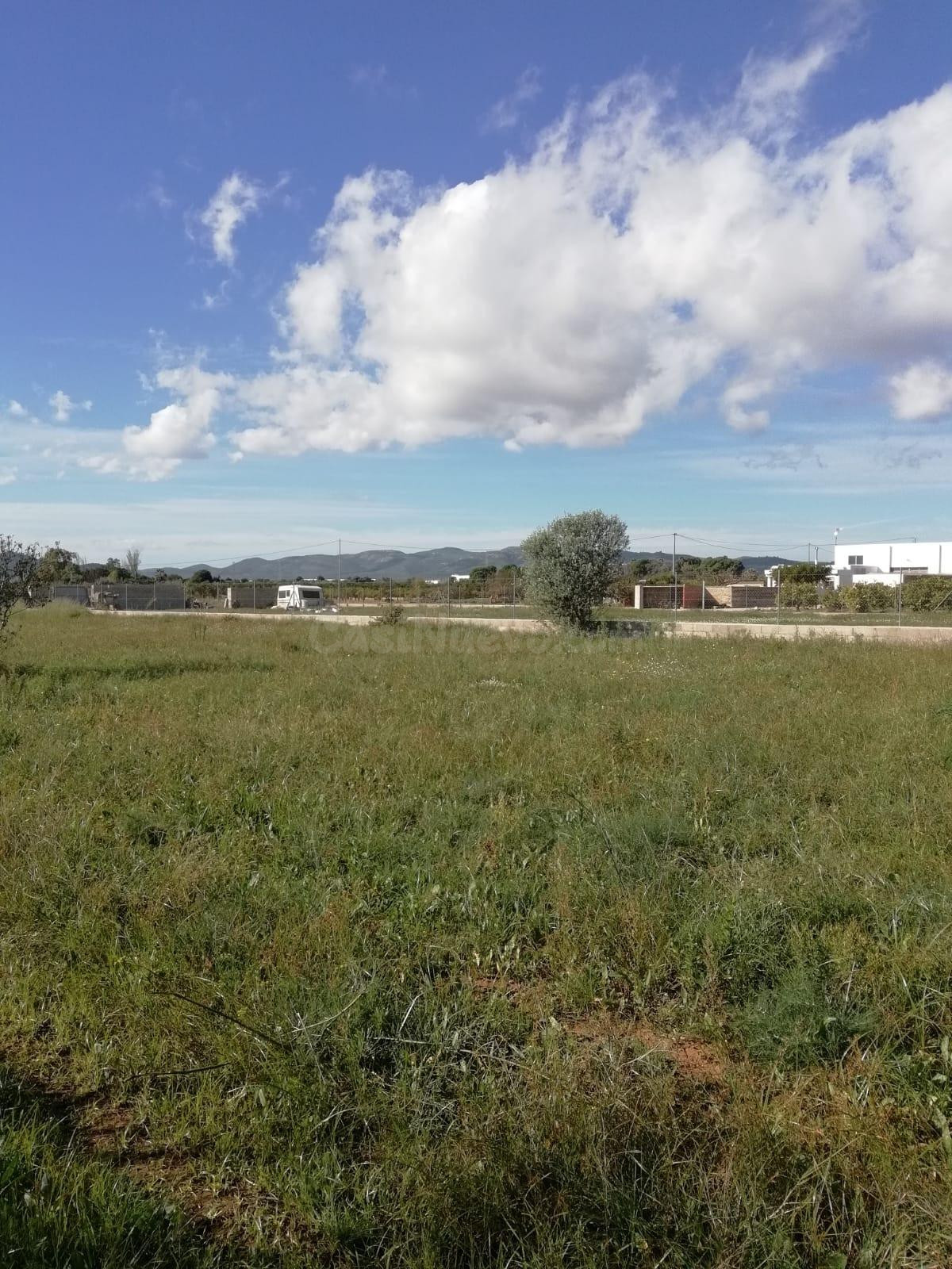 Parcela rústica con pozo propio entre Peñíscola y Benicarló — Ideal para huerto o recreo