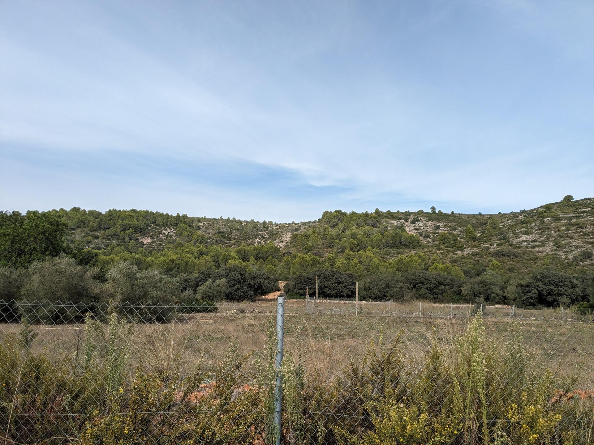 🌿 Terreno rústico con vistas panorámicas en Alcalalí – Llosa de Camacho (Alicante)