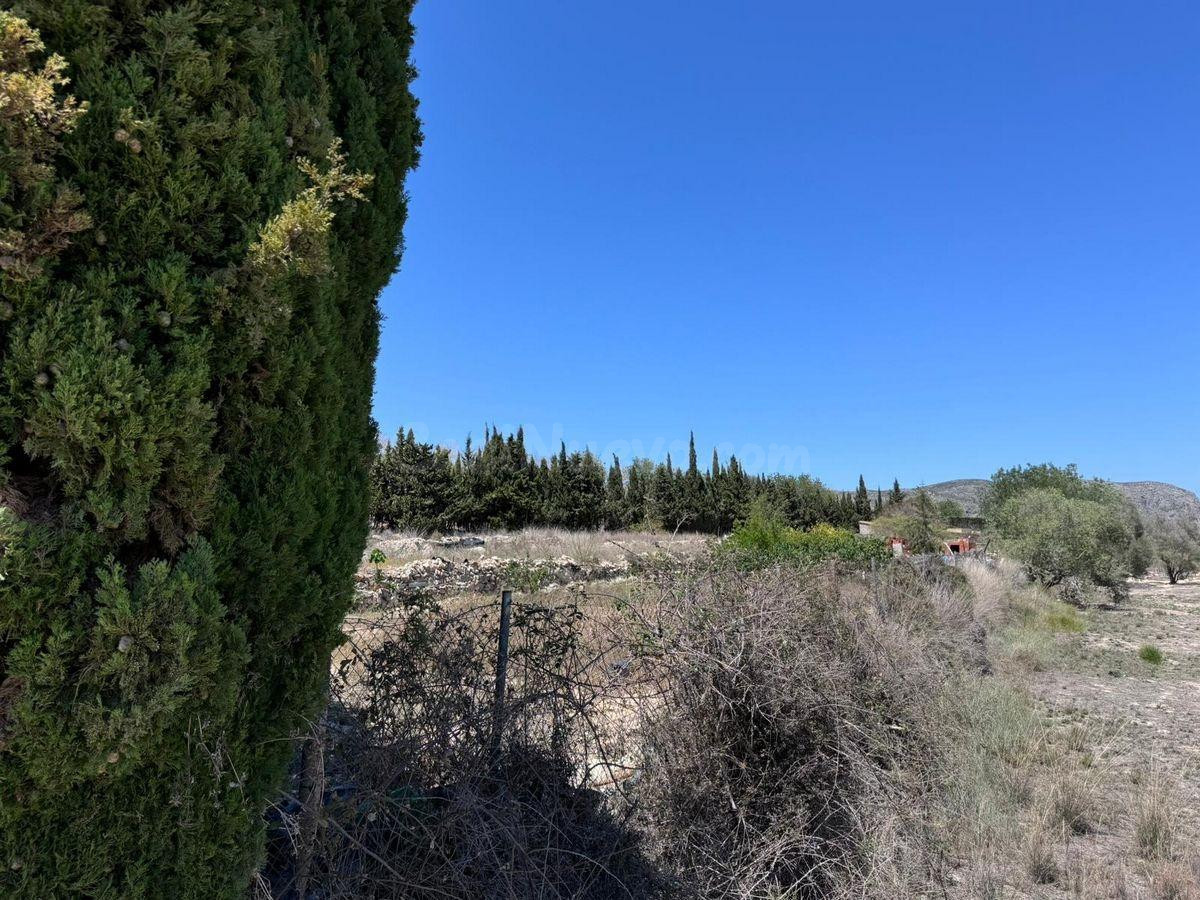 Parcela en Benissa – 5.005 m2 con Construcción Existente y P - foto 4