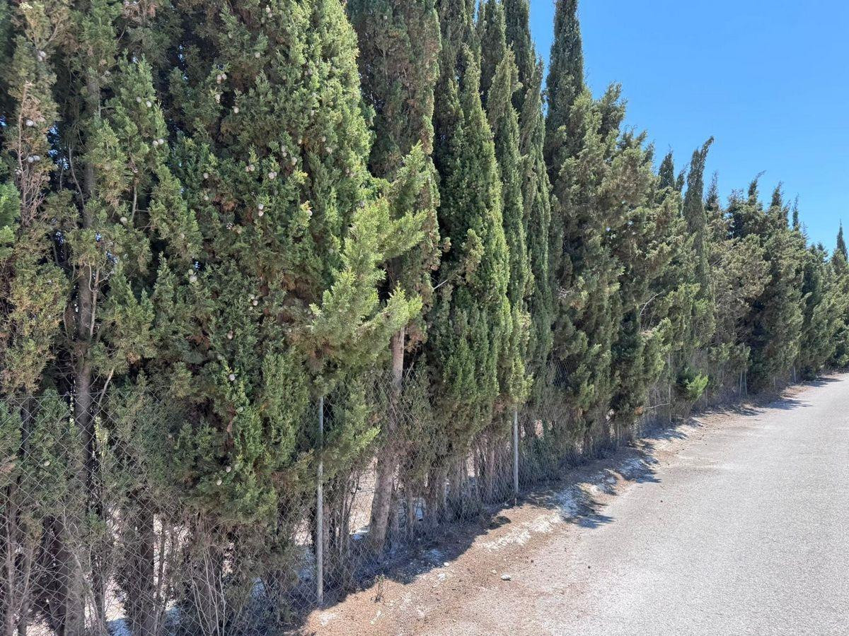 Parcela en Benissa – 5.005 m2 con Construcción Existente y P - foto 5
