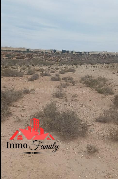 VENTA DE TERRENO AGRÍCOLA EN EL KM 21. MUY BIEN UBICADO Y DE - foto 2