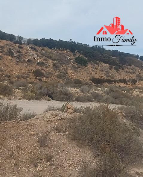 VENTA DE TERRENO AGRÍCOLA EN EL KM 21. MUY BIEN UBICADO Y DE - foto 4