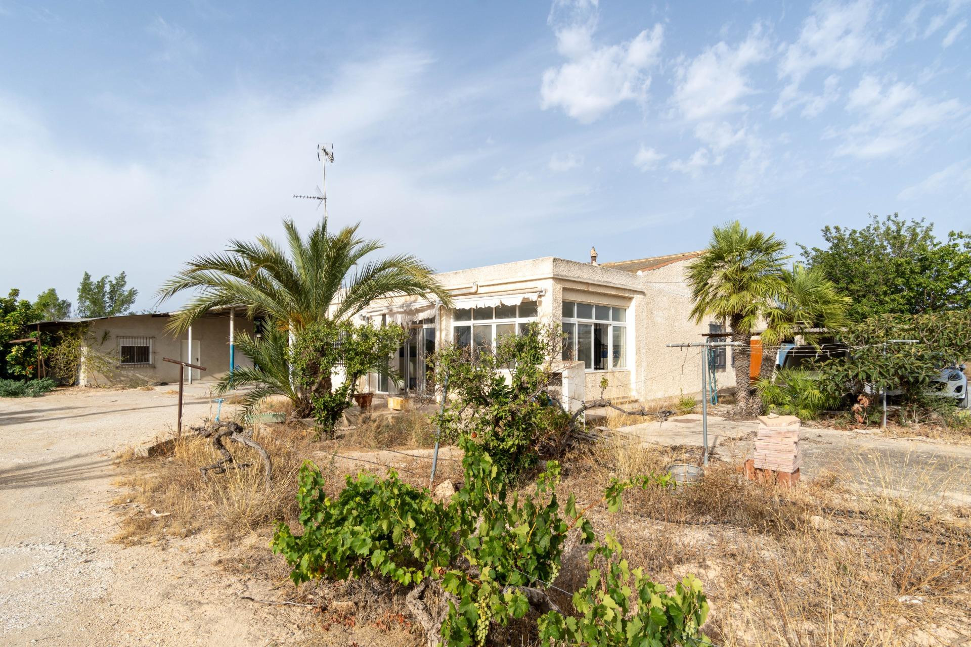 🏡 Casa de Campo de 150 metros con porche,  con Nave de 240 metros, Oficinas de 28 metros y Establos y trastero de 61 metros y superficie cubierta de 650 en los establos junto al Polígono Saladas - foto 4