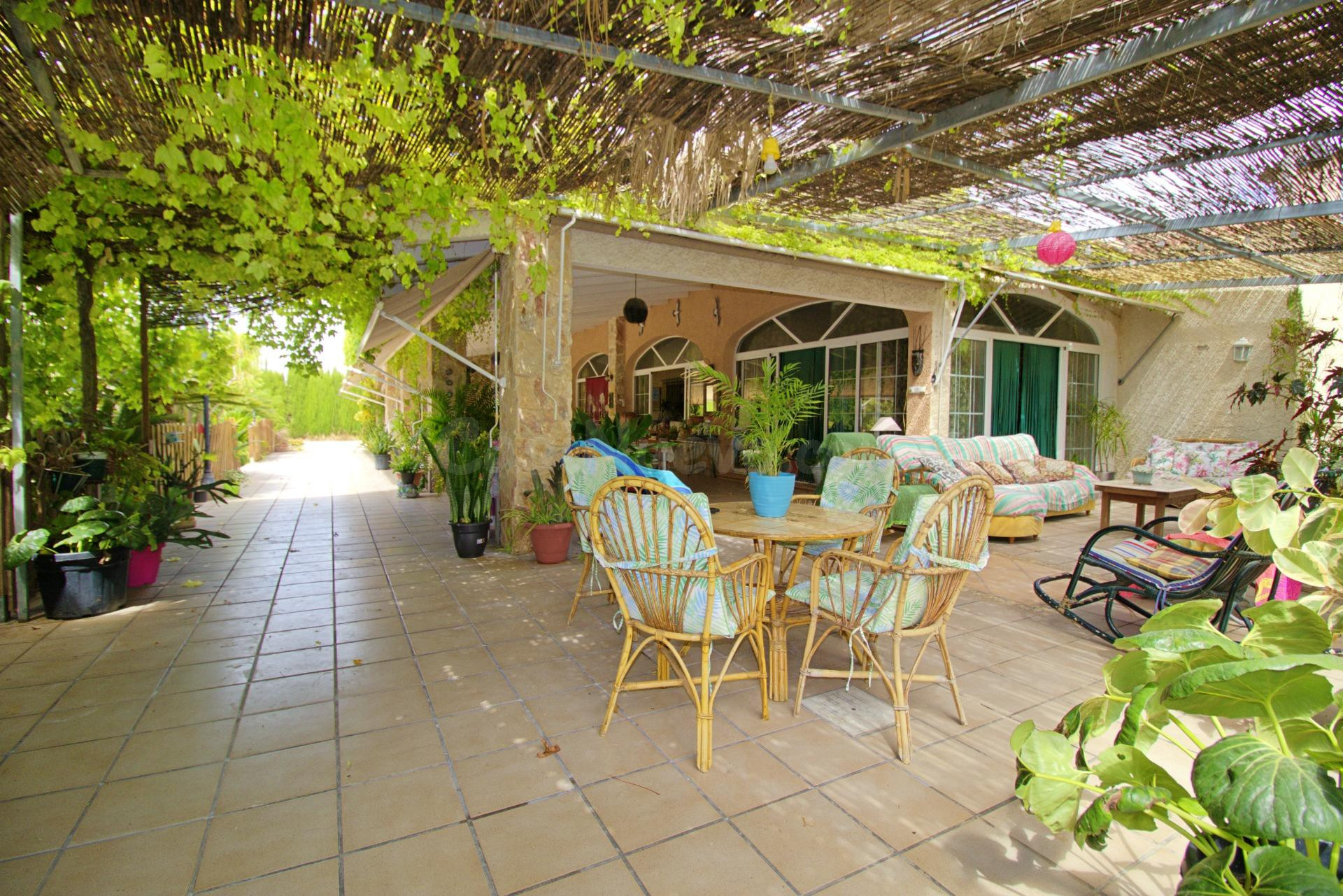 🏡 Una joya del campo de Elche: tradición, naturaleza y confo - foto 3