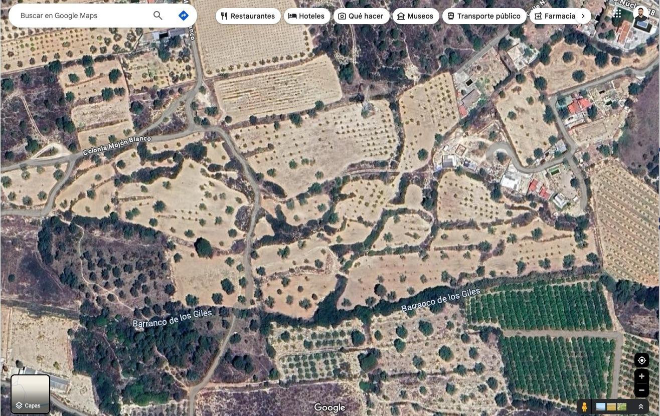Finca rústica de 60.757m2 con algarrobos y almendros – Ideal para producción agrícola o huerto solar - foto 2