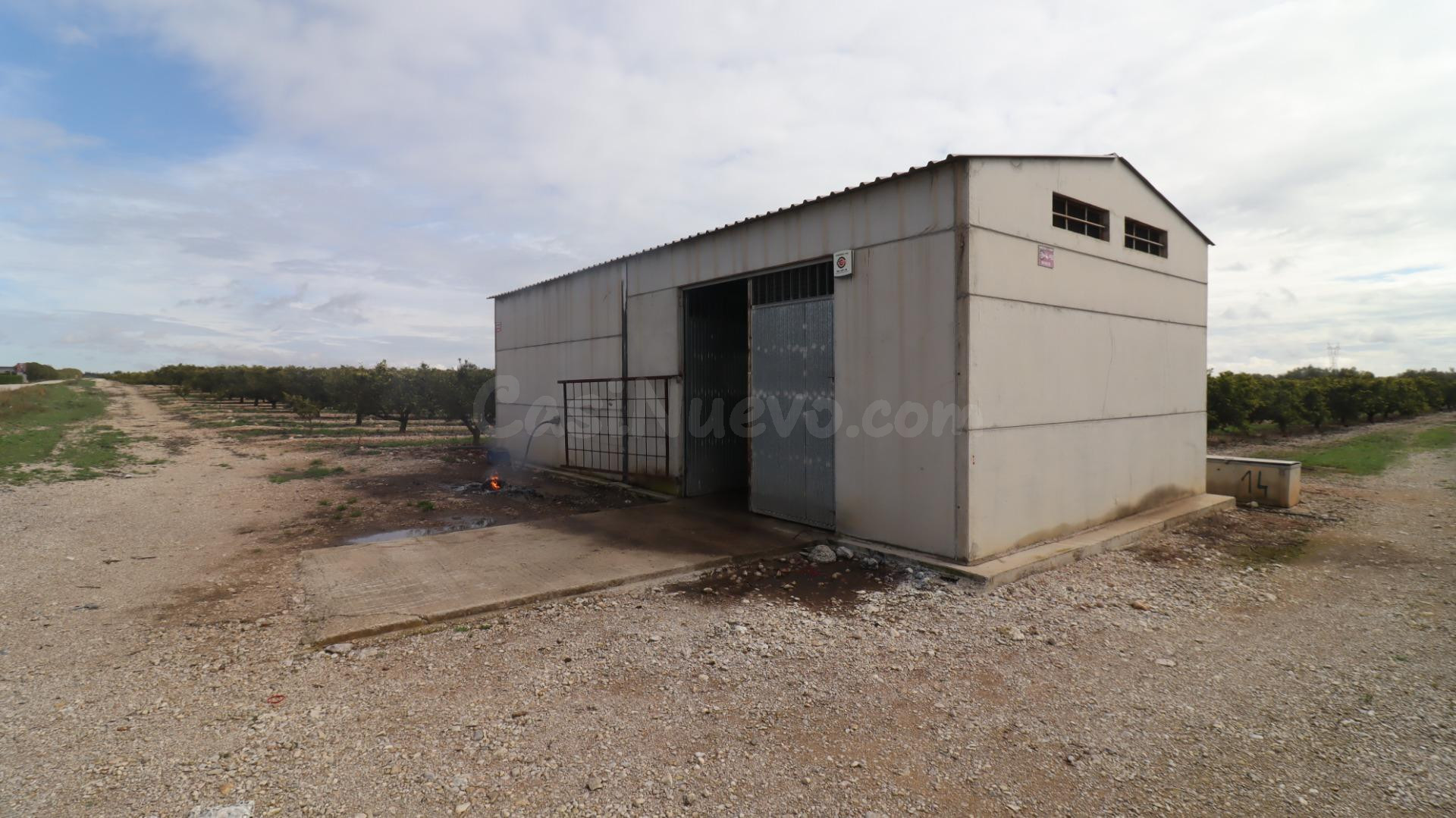 Finca de mandarinos en producción