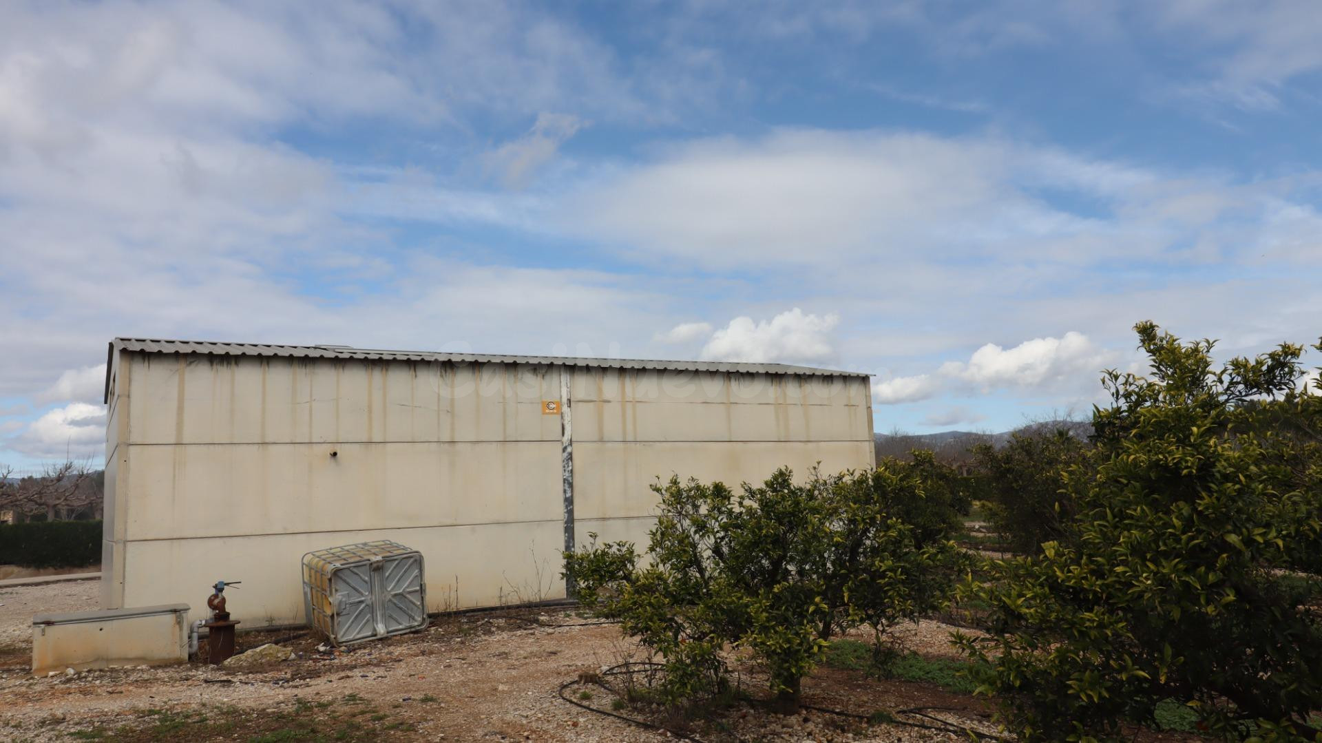Finca de mandarinos en producción - foto 2