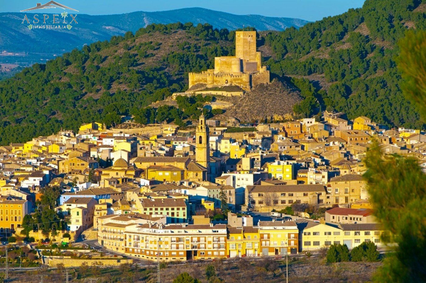 SOLAR EN LOMA DEL CASTILLO DE BIAR