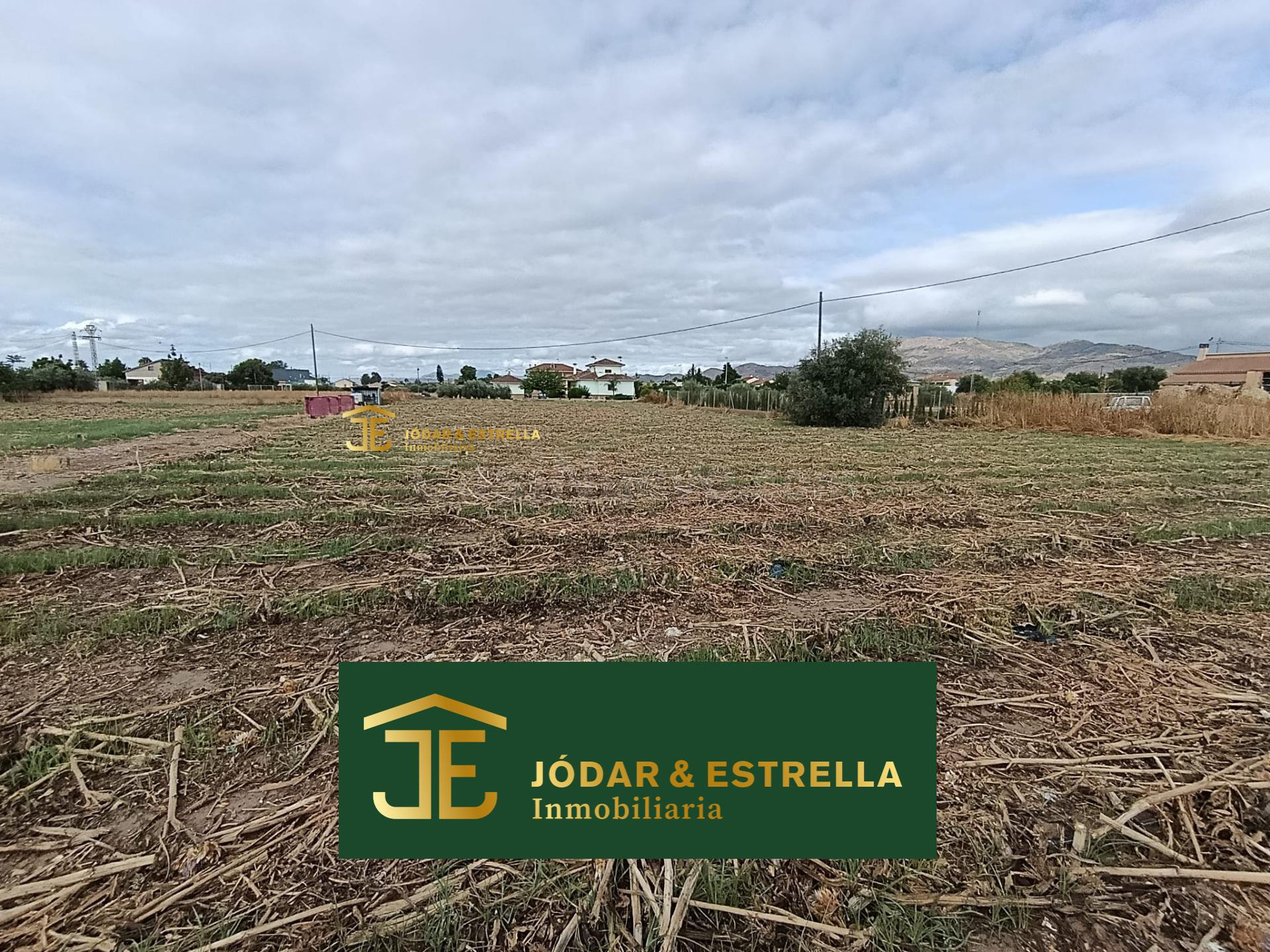 Parcela de 5700 metros en cazalla - foto 4