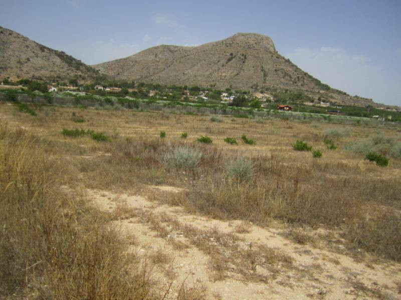 SE VENDE TERRENO EN ASPE