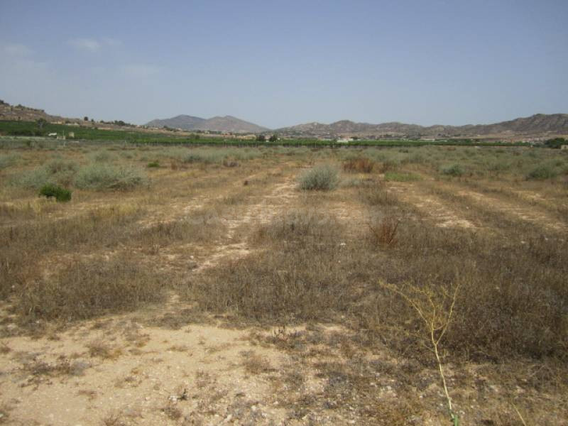 SE VENDE TERRENO EN ASPE - foto 2