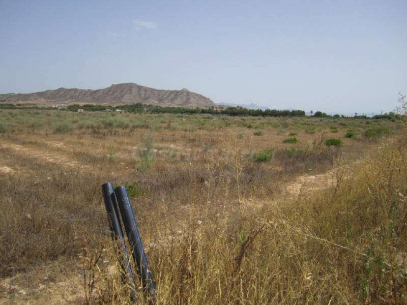 SE VENDE TERRENO EN ASPE - foto 3
