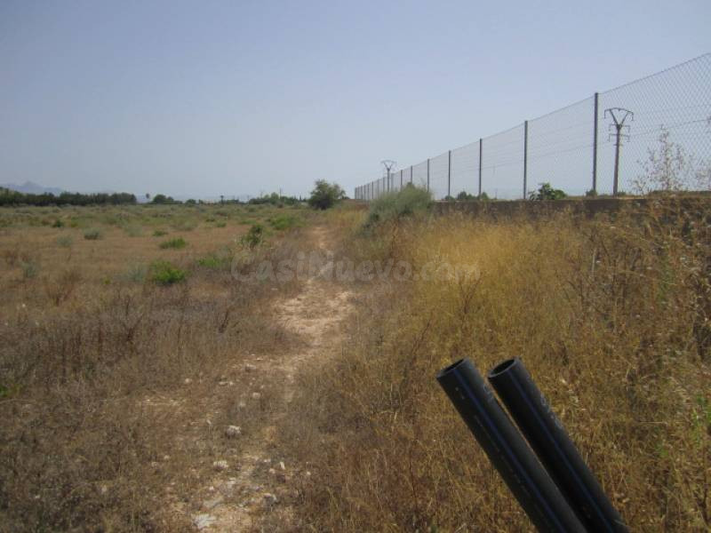 SE VENDE TERRENO EN ASPE - foto 4
